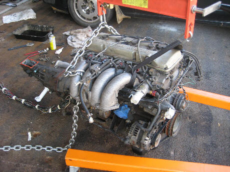 2009_05_0625s.jpg (47800 bytes)